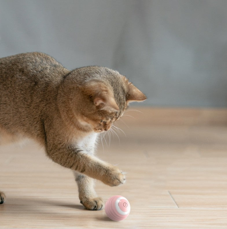 Smart Interactive Rolling Ball for Pets