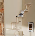 Wooden Cat Wall Shelves | Cat Climbing Tree with Balls | Indoor Cat Playground